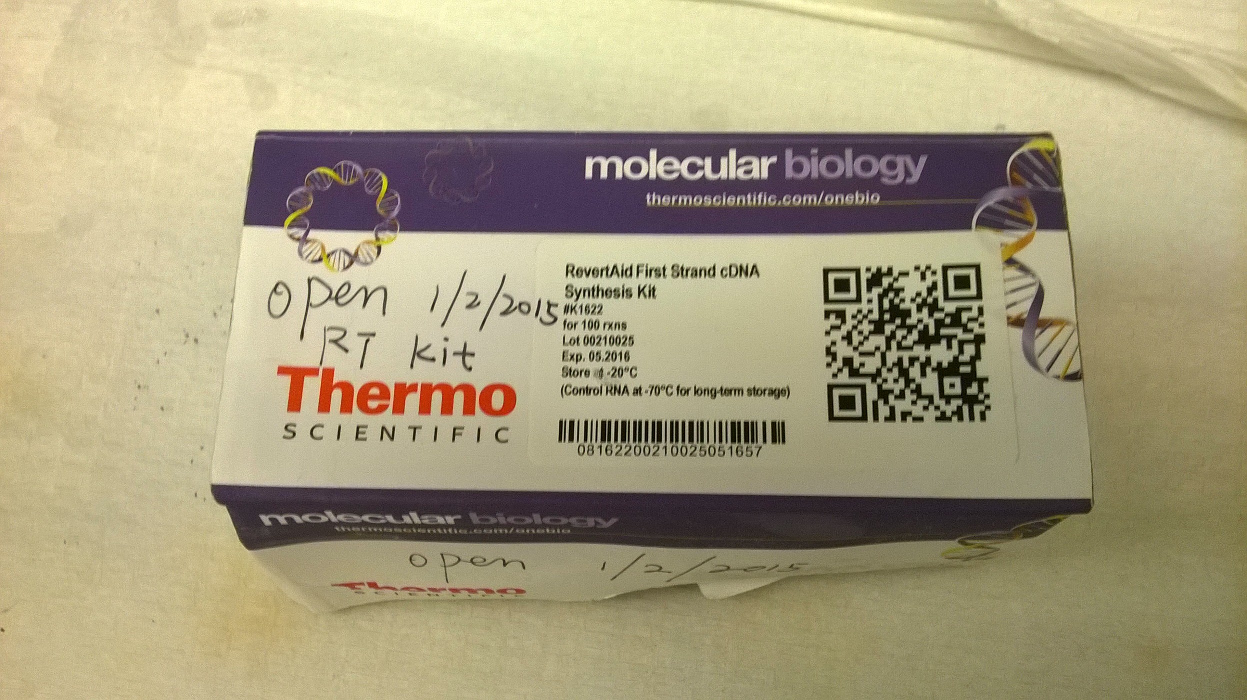 cDNA synthesis by RevertAid First Strand cDNA Synthesis Kit